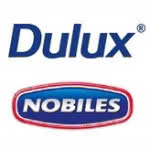 Akzo Nobel Decorative Paints